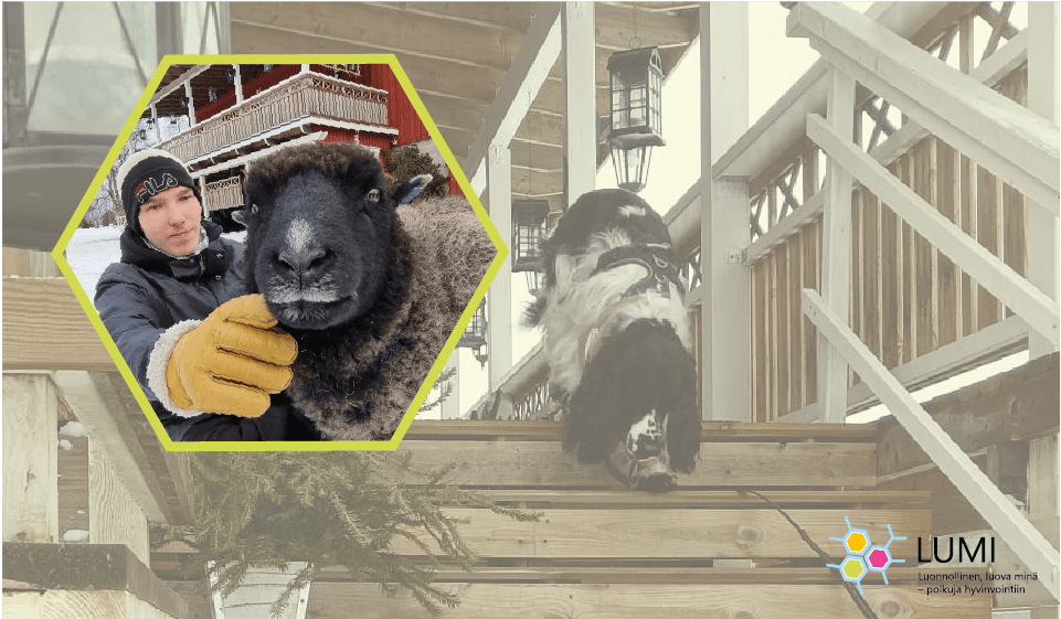 Blogin kuvituskuva, jossa ihmisiä nuotion äärellä.